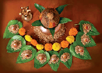 The-Navaratri