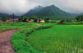 Monsoongetaway