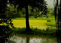 07-monsoon-india