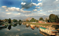 Kashmiris11