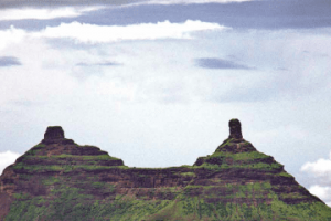 MangiTungi