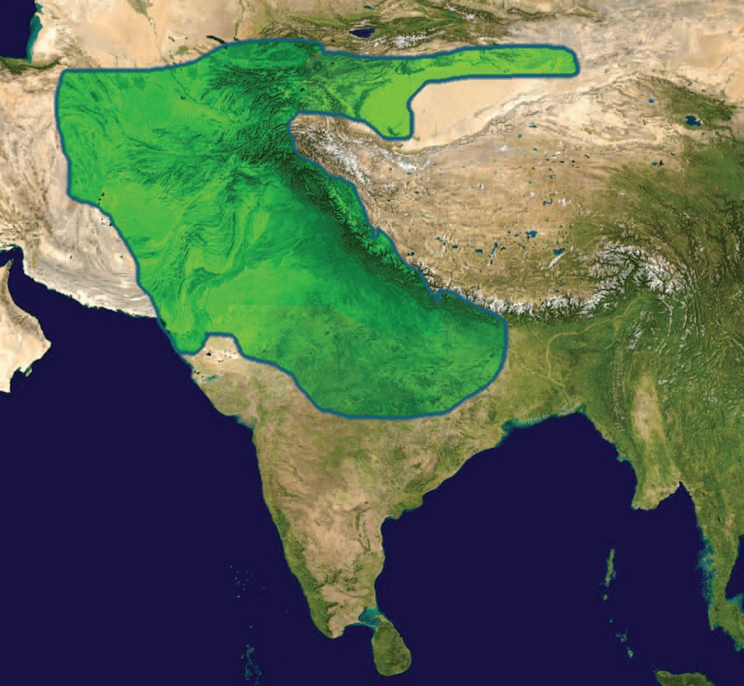 Kushan-Empire-under-Kanishka.png